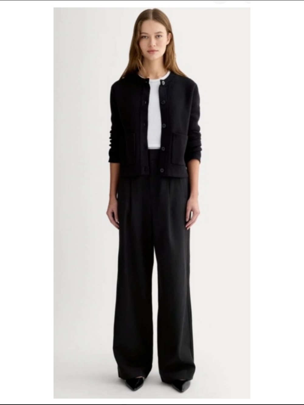 Everlane The Way-High Drape Pant in Black (10S)